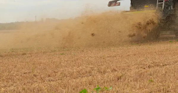 Der Erntehelfer Erntet Reifen Weizen Und Wirft Stroh Starke Emission — Stockfoto