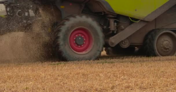 Der Erntehelfer Erntet Reifen Weizen Und Wirft Stroh Starke Emission — Stockvideo