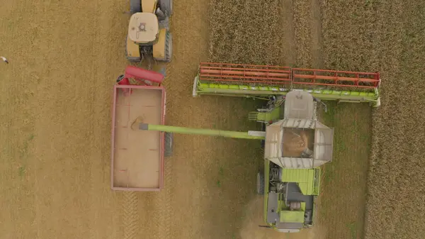 小麦を収穫するフィールド内のコンバインハーベスターの空中ビュー コンバインハーベスターと農業機械の仕事 トップビュー — ストック写真