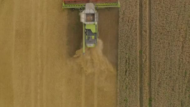 Buğday Hasat Eden Bir Tarladaki Hasat Makinesinin Hava Görüntüsü Bir — Stok video
