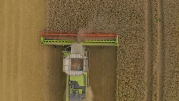小麦を収穫するフィールド内のコンバインハーベスターの空中ビュー コンバインハーベスターと農業機械の仕事 トップビュー — ストック動画