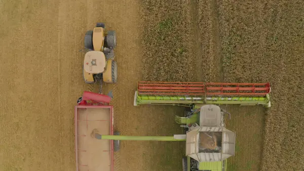 Buğday Hasat Eden Bir Tarladaki Hasat Makinesinin Hava Görüntüsü Bir — Stok fotoğraf