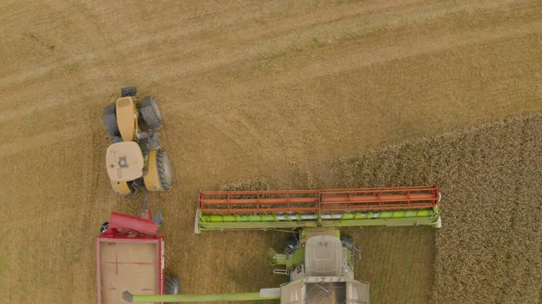 Buğday Hasat Eden Bir Tarladaki Hasat Makinesinin Hava Görüntüsü Bir — Stok fotoğraf