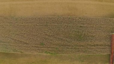 Buğday hasat eden bir tarladaki hasat makinesinin hava görüntüsü. Bir biçerdöver ve tarım makinesinin işi, üst görünüm.