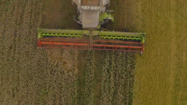 Buğday hasat eden bir tarladaki hasat makinesinin hava görüntüsü. Bir biçerdöver ve tarım makinesinin işi, üst görünüm.