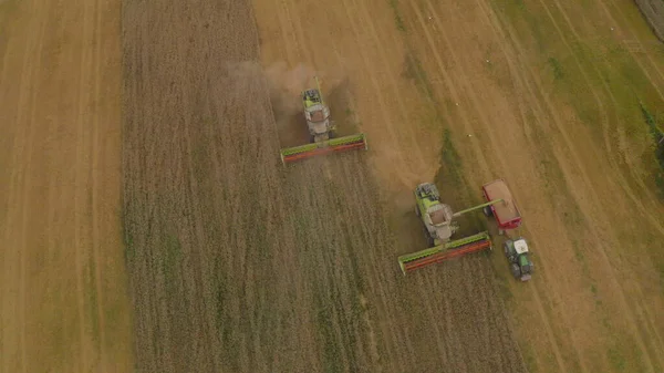 Luftaufnahme Eines Mähdreschers Bei Der Weizenernte Auf Einem Feld Die — Stockfoto