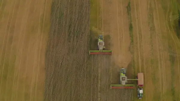 Letecký Pohled Kombajn Poli Sklízející Pšenici Práce Kombajnu Zemědělských Strojů — Stock fotografie