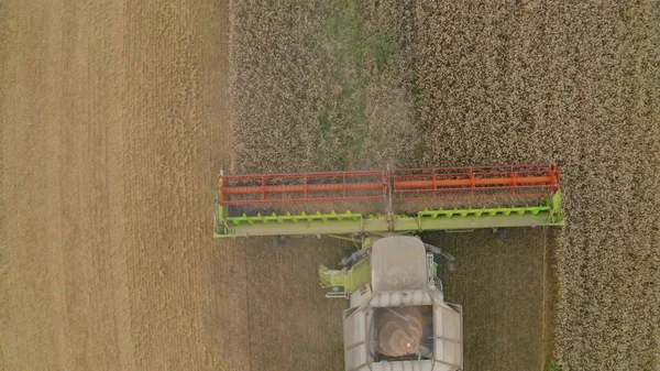 Pemandangan Udara Dari Pemanen Gabungan Ladang Memanen Gandum Pekerjaan Dari — Stok Foto