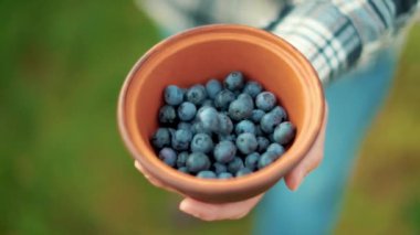 Kil kasede taze yaban mersini. Erkek eli yaban mersinli kahverengi bir kase tutuyor. Sağlıklı beslenme ve yabanmersini yetiştirme kavramı..