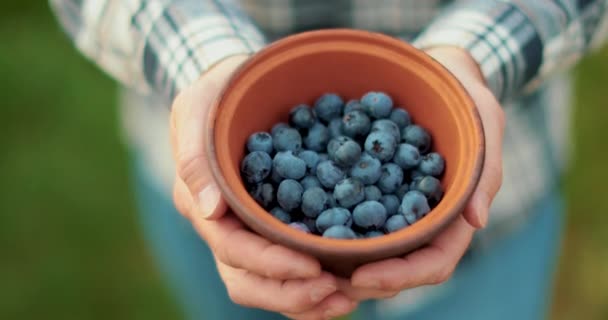 新鲜的蓝莓在粘土碗里 男性的手拿着一个带有蓝莓的褐色碗 健康饮食和蓝莓种植的概念 — 图库视频影像