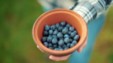 Kil kasede taze yaban mersini. Erkek eli yaban mersinli kahverengi bir kase tutuyor. Sağlıklı beslenme ve yabanmersini yetiştirme kavramı..