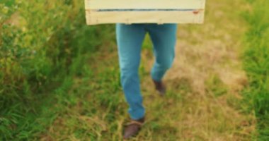 Dışarıda yabanmersini dolu bir kutu olan erkek çiftçi. Yabanmersini ekimi ve hasadı.