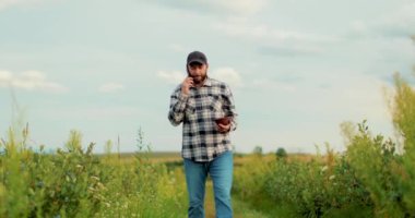 Genç bir çiftçi yabanmersini tarlasında çalışıyor. Yabanmersini tarlasında yürürken telefonla konuşuyor..
