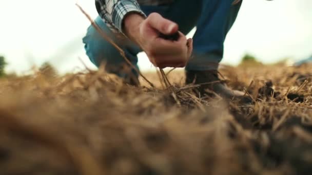 Közelkép Egy Férfi Kezét Érintő Száraz Föld Mezőgazdasági Területen Talaj — Stock videók