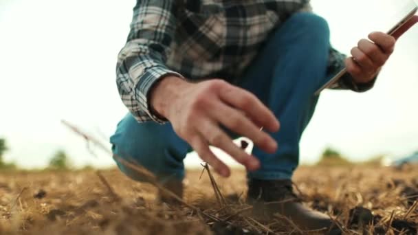 Zbliżenie Ręki Człowieka Dotykającego Suchej Ziemi Polu Rolniczym Glebie Ziemi — Wideo stockowe