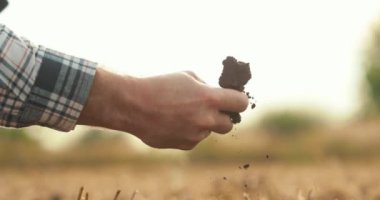 Yan görüş: erkek elleri sahada toprağa dokunuyor. Toprağı elleriyle tutan bir çiftçinin yakın çekimi. Çiftçi ekmeden önce toprağın kalitesini kontrol eder..