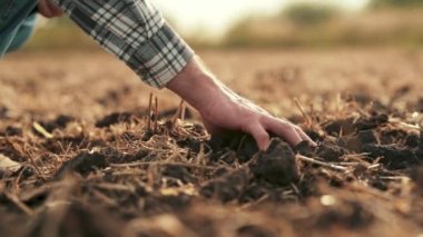 Yan görüş: erkek elleri sahada toprağa dokunuyor. Toprağı elleriyle tutan bir çiftçinin yakın çekimi. Çiftçi ekmeden önce toprağın kalitesini kontrol eder..