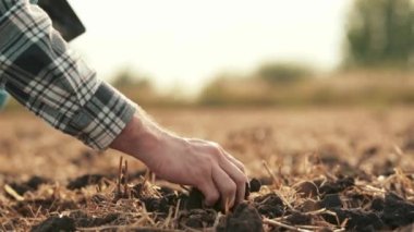 Yan görüş: erkek elleri sahada toprağa dokunuyor. Toprağı elleriyle tutan bir çiftçinin yakın çekimi. Çiftçi ekmeden önce toprağın kalitesini kontrol eder..
