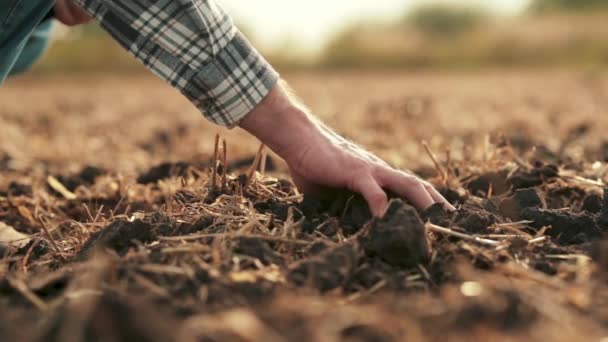 サイドビュー フィールド上の土に触れる男性の手 彼の手で地球を保持する農夫の近接 農家は植える前に土壌の品質をチェックする — ストック動画