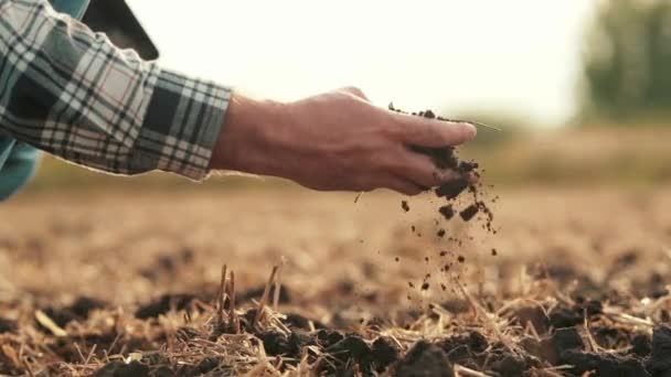 侧视图 男性的手接触田里的泥土 一个用手握住泥土的农民的特写镜头 农民在播种前首先要检查土壤的质量 — 图库视频影像