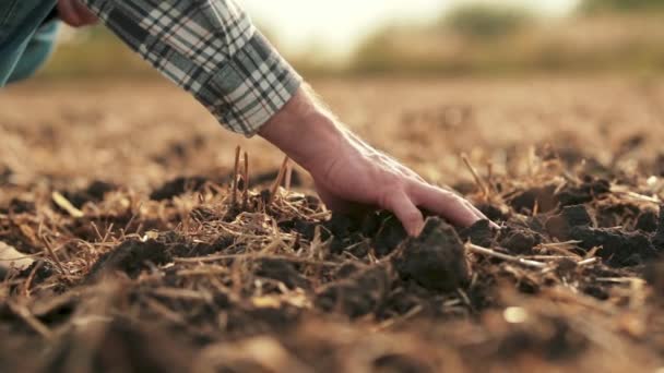 サイドビュー フィールド上の土に触れる男性の手 彼の手で地球を保持する農夫の近接 農家は植える前に土壌の品質をチェックする — ストック動画