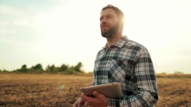 Günbatımında buğday tarlasında tarım yapan çiftçi. Ekokültür çiftliği. Elinde tabletle kıdemli bir tarım uzmanı. Bir çiftçi-tarım uzmanı organik ürünleri kontrol eder. Tarım Çiftliği.