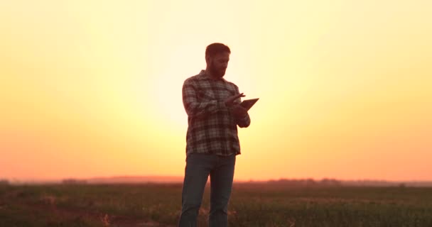 一个农民在日落时走过一片空旷的田野 在辛苦了一天之后 在平板电脑上比较数据 — 图库视频影像