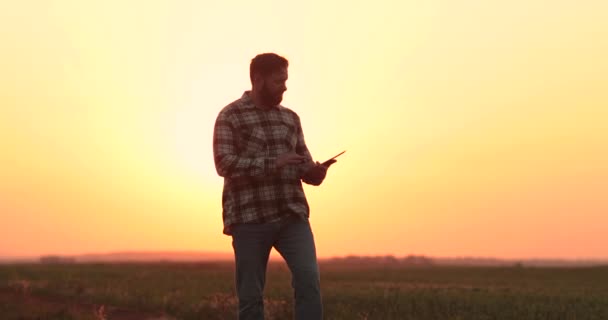 Bir Çiftçi Gün Batımında Boş Bir Arazide Yürür Zor Bir — Stok video