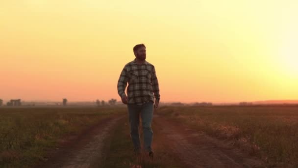 Een Boer Loopt Bij Zonsondergang Een Leeg Veld Vergelijkt Gegevens — Stockvideo