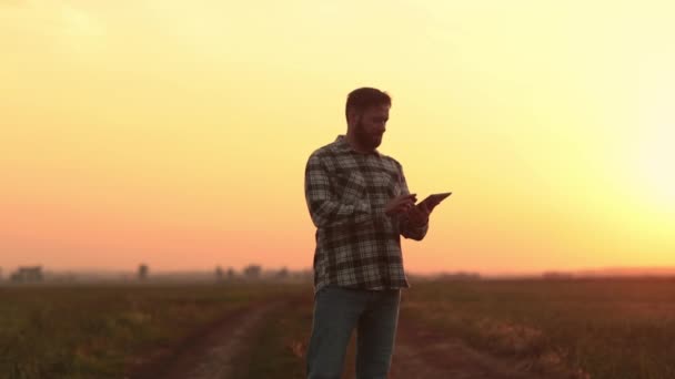 Фермер Ходит Пустому Полю Закате Сравнивает Данные Планшете После Трудного — стоковое видео