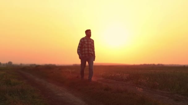Bir Çiftçi Elinde Tabletle Yeni Biçilmiş Bir Tarlada Yürüyor Astlarının — Stok video
