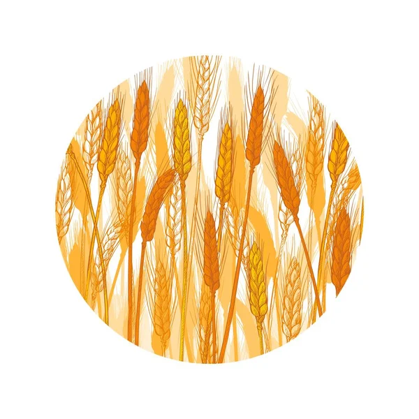 パノラマのフィールド 円形の緑の小麦の丘の風景ロゴ 粉パック 手描きの田舎スケッチ 現実的なベクトル図 — ストックベクタ