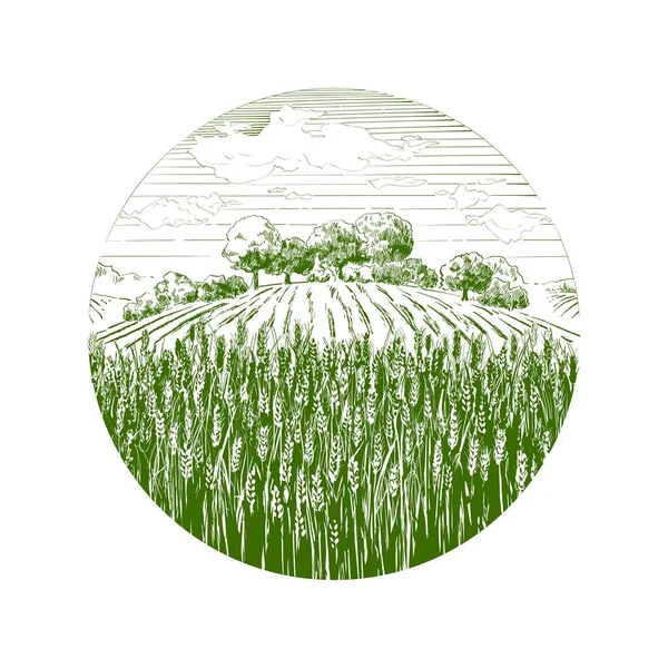 环绕着青小麦山景标志 面粉包装 手绘乡村草图 现实的病媒说明 — 图库矢量图片