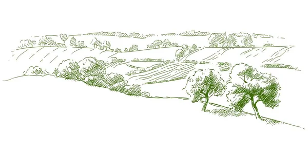 Grass Fields Hill Landscape Set Fruit Trees Olive Apple Plum — Stock Vector