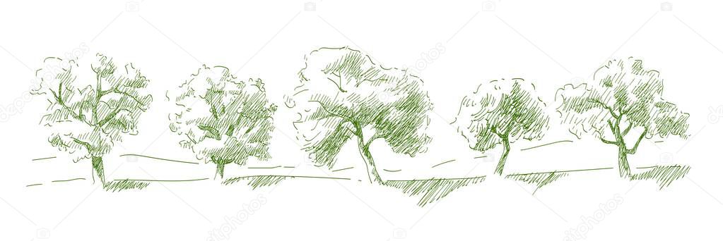 Grass on the fields hill landscape. Set of fruit trees: olive, apple, plum, apricot. Orchard, grove. Vector realistic black and white vintage sketch illustration