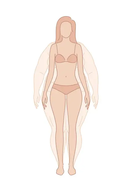 다이어트 Emaciation 과체중 실루엣 5개의 3개인 앞면을 나타냅니다 일러스트 벡터 그래픽