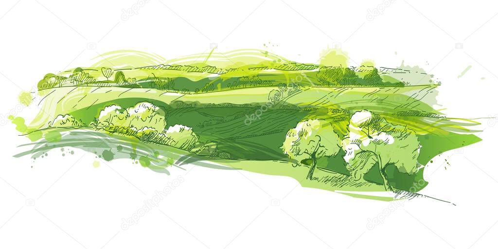 Watercolor field on small hills. Meadow green grass, grassland, pasturage, farm, trees. Rural scenery landscape panorama of countryside pastures. Hand drawn vector illustration