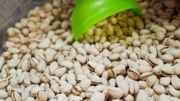 Taze fıstıklı bir demet yakın çekim. Pistacia Vera, kaju ailesinin bir üyesi..
