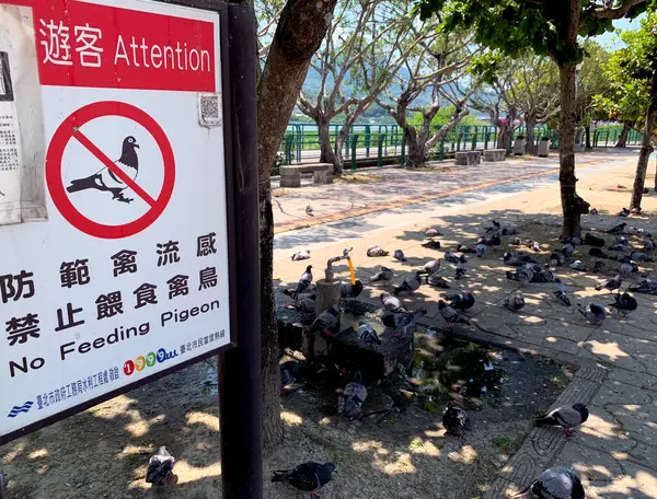 Taipei, Tayvan; 28 Temmuz 2022: Güvercinler 