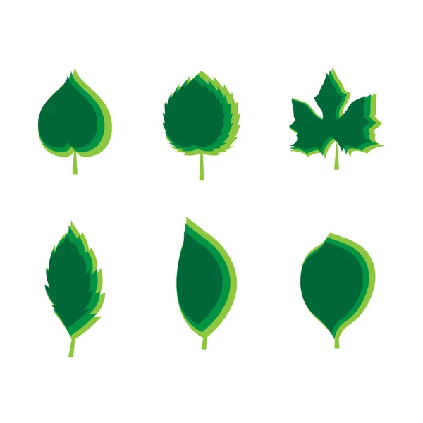 Various Types Leaves Stacked — Stock Vector