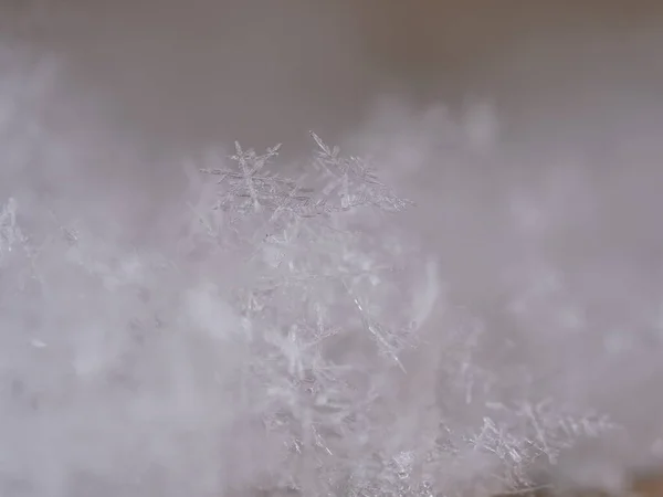 Cristalli Neve Una Priorità Bassa Bianca — Foto Stock