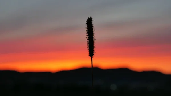 Dağların Arka Planında Güzel Bir Günbatımının Silueti — Stok fotoğraf