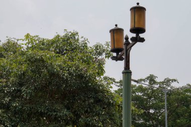 Bahçenin ışıkları gökyüzünü gösteren bir manzarayla aşağıdan görüldü. görüntüleyici silueti. 