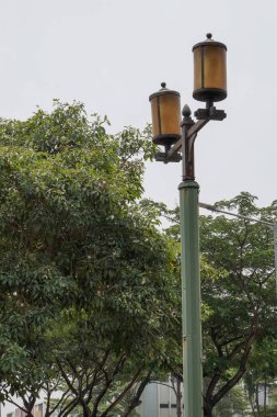 Bahçenin ışıkları gökyüzünü gösteren bir manzarayla aşağıdan görüldü. görüntüleyici silueti. 