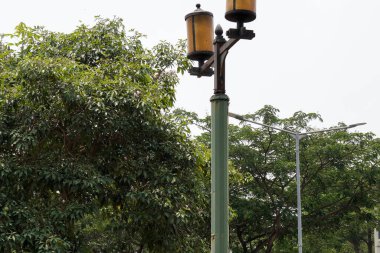 Bahçenin ışıkları gökyüzünü gösteren bir manzarayla aşağıdan görüldü. görüntüleyici silueti. 