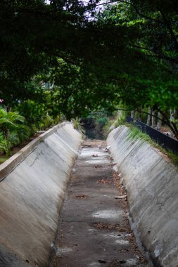 Kurak mevsimde kuruyan bir su çukuru. Suyun etrafında ağaçlar yetişiyor.. 