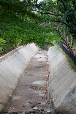 Kurak mevsimde kuruyan bir su çukuru. Suyun etrafında ağaçlar yetişiyor.. 
