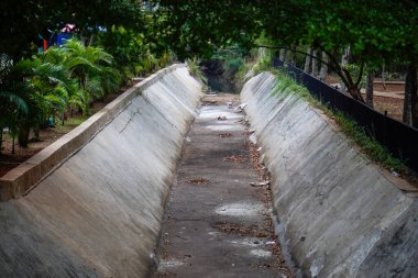 Kurak mevsimde kuruyan bir su çukuru. Suyun etrafında ağaçlar yetişiyor.. 
