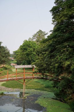 Bambudan yapılmış köprü, yandan geniş bir açıyla görülüyor., 