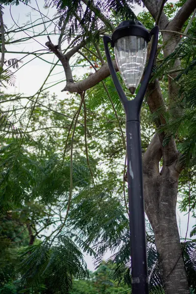 garden lamp on a black pole, background of leaves visible from below with a view to the sky.